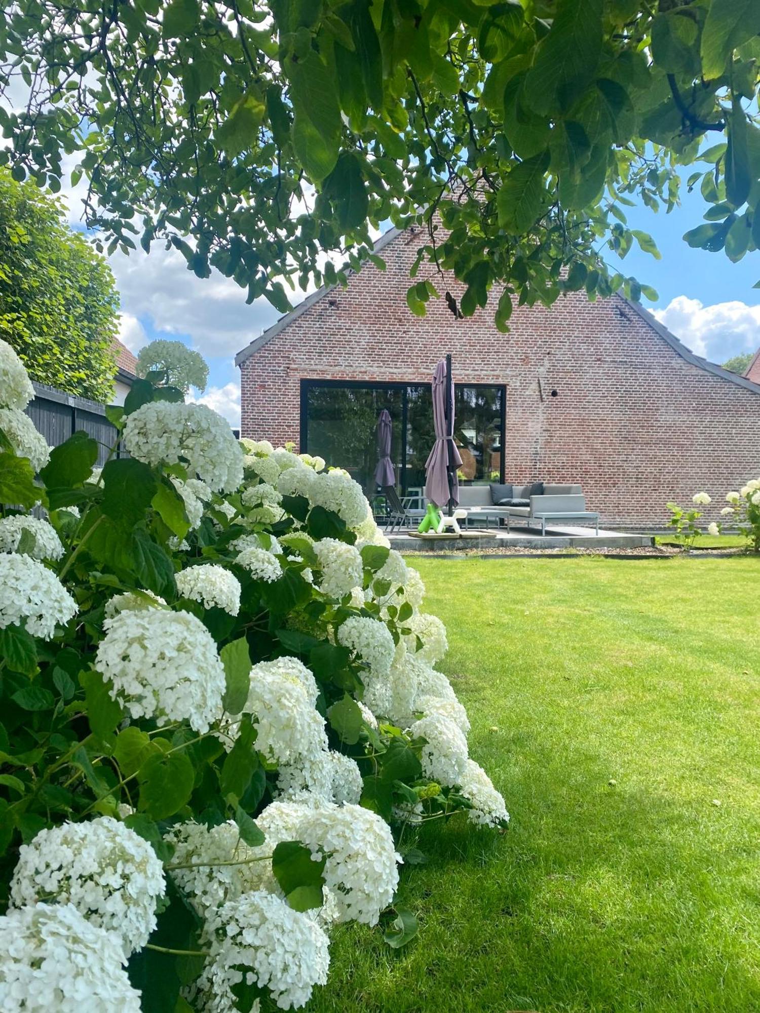 Hoeve De Kleinheide Дессел Экстерьер фото